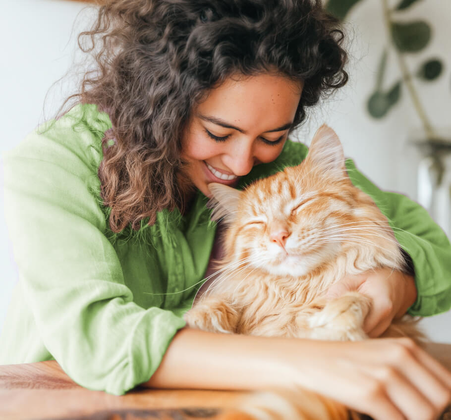 Our Services 2 Pawcare Webflow Template | Brix Templates